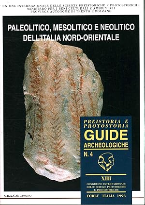 Seller image for Paleolitico, Mesolitico e Neolitico dell'Italia Nord-Orientale for sale by Di Mano in Mano Soc. Coop