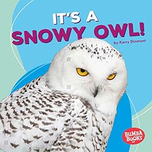 Bild des Verkufers fr It's a Snowy Owl! (Polar Animals: Bumba Books) zum Verkauf von WeBuyBooks