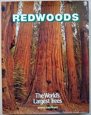 Redwoods - The World's largest Trees