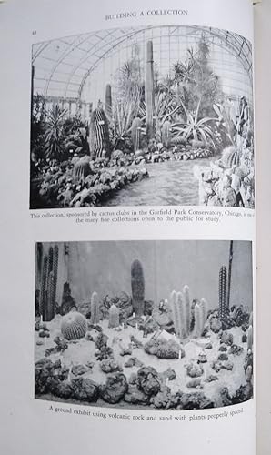 Immagine del venditore per Cacti for the Amateur venduto da Mike Park Ltd