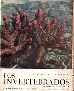 EL MUNDO DE LA NATURALEZA. LOS INVERTEBRADOS