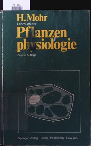 Immagine del venditore per Lehrbuch der Pflanzenphysiologie. venduto da Antiquariat Bookfarm