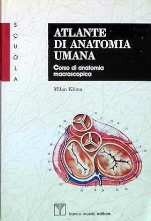 Bild des Verkufers fr Atlante di anatomia umana zum Verkauf von Librodifaccia