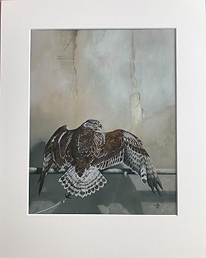 Ferruginous Hawk with Jessie [Original Falconry Watercolour, monographed]