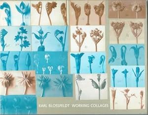 Seller image for Karl Blossfeldt: Working Collages. for sale by Wittenborn Art Books