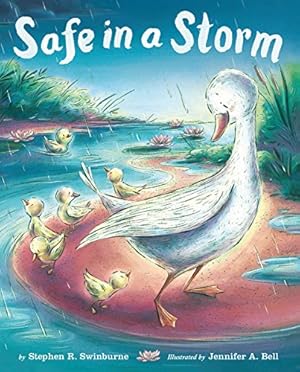 Seller image for Safe in a Storm for sale by ZBK Books
