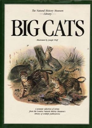 Image du vendeur pour Big Cats (Natural History Museum Collection S.) mis en vente par WeBuyBooks