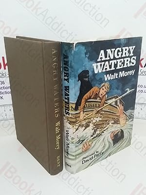 Seller image for Angry Waters for sale by BookAddiction (ibooknet member)
