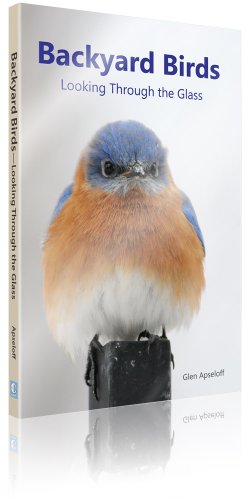 Seller image for Backyard Birds: Looking Through the Glass for sale by ZBK Books