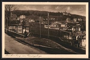 Ansichtskarte Brückenberg, Panoramablick vom Berg