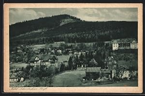 Ansichtskarte Mittel-Schreiberhau im Riesengebirge, Generalansicht