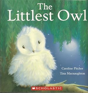 Seller image for The Littlest Owl for sale by ZBK Books