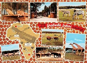 Postkarte Carte Postale 73934321 Stukenbrock Schloss Holte-Stukenbrock Grosswild Safari mit Loewe...