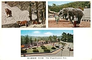 Postkarte Carte Postale 73934372 Higashiyama Japan Zoo