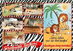 Postkarte Carte Postale 73934319 Stukenbrock Schloss Holte-Stukenbrock Senne Grosswild Safari mit...