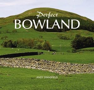 Seller image for Perfect Bowland for sale by WeBuyBooks