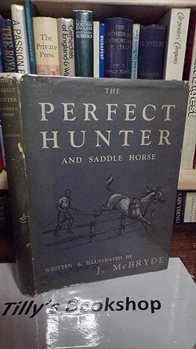 The Perfect Hunter And Saddle Horse