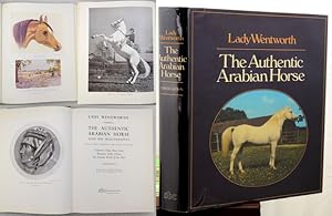 Seller image for THE AUTHENTIC ARABIAN HORSE And his Descendants. Three Voices concerning The Horses of Arabia. Tradition (Nejd, Inner East). Romantic Fable (Islam). The Outside World of the West. Foreword by Sir Henry Abel Smith. for sale by Francis Edwards ABA ILAB