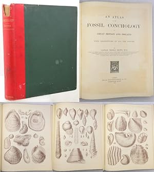 Bild des Verkufers fr AN ATLAS OF THE FOSSIL CONCHOLOGY Or Great Britain and Ireland With Descriptions of All the Species. zum Verkauf von Francis Edwards ABA ILAB