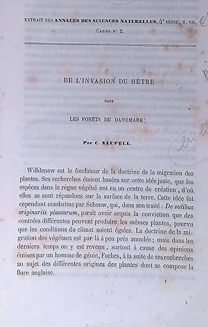 Seller image for Extrait des annales des sciences naturelles De l'invasion du Htre for sale by LibrairieLaLettre2