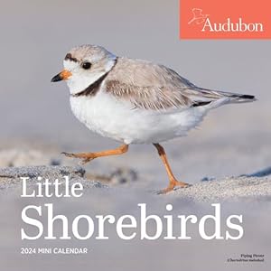 Seller image for Audubon Little Shorebirds Mini Wall Calendar 2024: A Tribute to the Diversity of Shorebirds and the Fragile Ecosystems they Inhabit by Workman Calendars, National Audubon Society [Calendar ] for sale by booksXpress