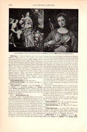 Imagen del vendedor de LAMINA V30838: Santa Apolonia por G. de Grayer y Luini a la venta por EL BOLETIN