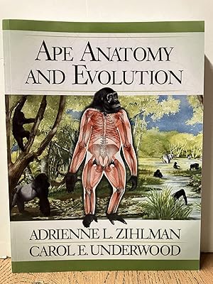 Seller image for Ape Anatomy and Evolution for sale by Chamblin Bookmine