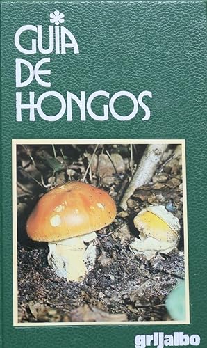 Imagen del vendedor de Gua de hongos a la venta por Librera Alonso Quijano