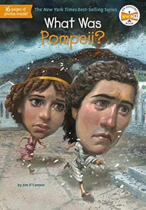 Seller image for What Was Pompeii? for sale by ZBK Books