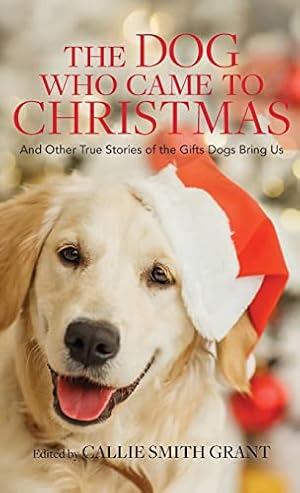 Bild des Verkufers fr The Dog Who Came to Christmas: And Other True Stories of the Gifts Dogs Bring Us zum Verkauf von -OnTimeBooks-