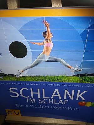 Seller image for Schlank im Schlaf, der 4 Wochen Power Plan for sale by Verlag Robert Richter