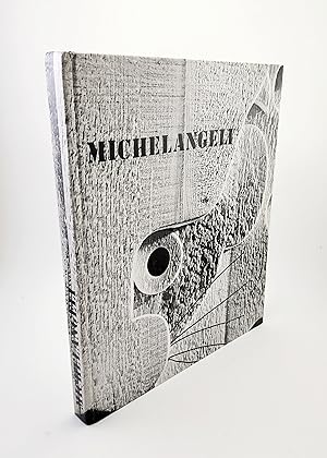 Bild des Verkufers fr Michelangeli as Seen by Fredo Meyer-Henn zum Verkauf von R. Rivers Books