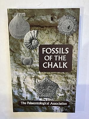 FOSSILS OF THE CHALK