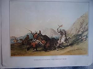 Planche couleur 1979 d apres gravure Nathaniel CURRIER INDIANS ATTACKING THE GRIZZLY BEAR