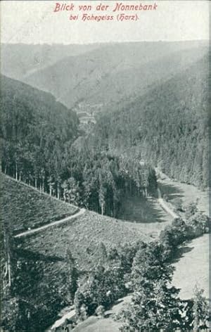 Ansichtskarte Blick von der Nonnebank bei Hohegeiss Harz 1921 (Nr.938)