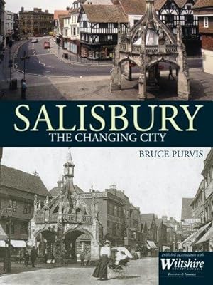 Seller image for Salisbury The Changing City for sale by WeBuyBooks