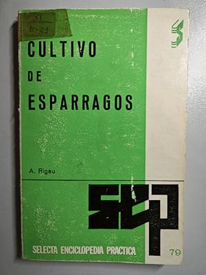 Imagen del vendedor de CULTIVO DE ESPARRAGOS. N79. a la venta por TraperaDeKlaus