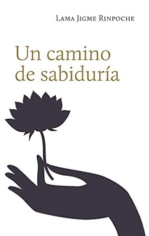 Bild des Verkufers fr UN CAMINO DE SABIDURIA zum Verkauf von ALZOFORA LIBROS