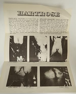 Hartrose Vintage Single Page Photo Set Bondage Latex BDSM Singel Paper Sheet