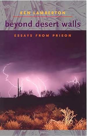 Seller image for Beyond Desert Walls: Essays from Prison for sale by -OnTimeBooks-