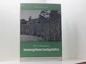 Immagine del venditore per Die wichtigsten immergrnen Laubgehlze - Ein Nachschlagebuch fr Fachmann und Liebhaber. venduto da Book Broker