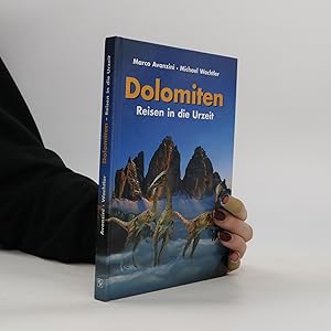 Immagine del venditore per Dolomiten venduto da Bookbot