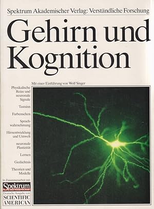 Bild des Verkufers fr Gehirn und Kognition. mit einer Einfhrung von Wolf Singer / Verstndliche Forschung. zum Verkauf von Fundus-Online GbR Borkert Schwarz Zerfa