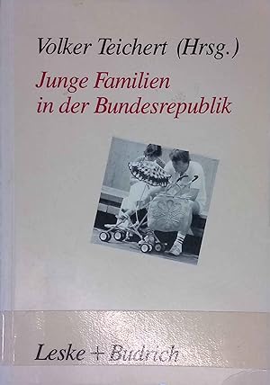 Image du vendeur pour Junge Familien in der Bundesrepublik : Familienalltag - Familienumwelt - Familienpolitik. mis en vente par books4less (Versandantiquariat Petra Gros GmbH & Co. KG)