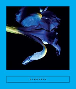 Seller image for Elektrik: Caribbean Writing (Calico Series, 8) by Jean-Gilles, Mireille, Octavia, Gaël, Kanor, Fabienne, Agnant, Marie-Célie, Mars, Kettly, Bonhomme, Adlyne, Dracius, Suzanne, Dambury, Gerty [Paperback ] for sale by booksXpress