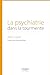 Bild des Verkufers fr La psychiatrie dans la tourmente [FRENCH LANGUAGE - Soft Cover ] zum Verkauf von booksXpress