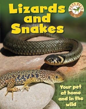 Seller image for Lizards and Snakes (Pets Plus) for sale by WeBuyBooks