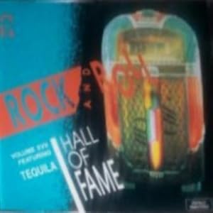Bild des Verkufers fr Rock 'n' Roll Hall Of Fame Vol. 17 zum Verkauf von Krak Dogz Distributions LLC