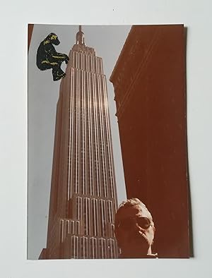 Bild des Verkufers fr King Kong zum Verkauf von Il Leviatano