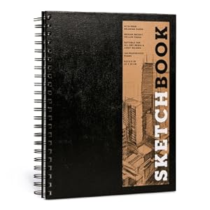 Immagine del venditore per Sketchbook (Hardback or Cased Book) venduto da BargainBookStores